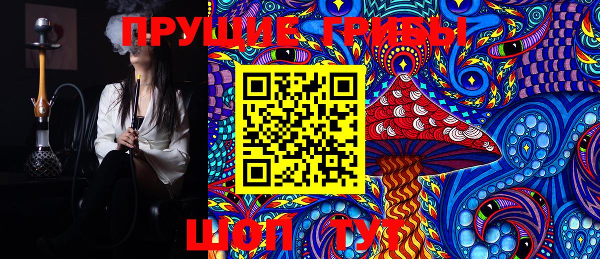 Псилоцибиновые грибы Psilocybe Кимовск