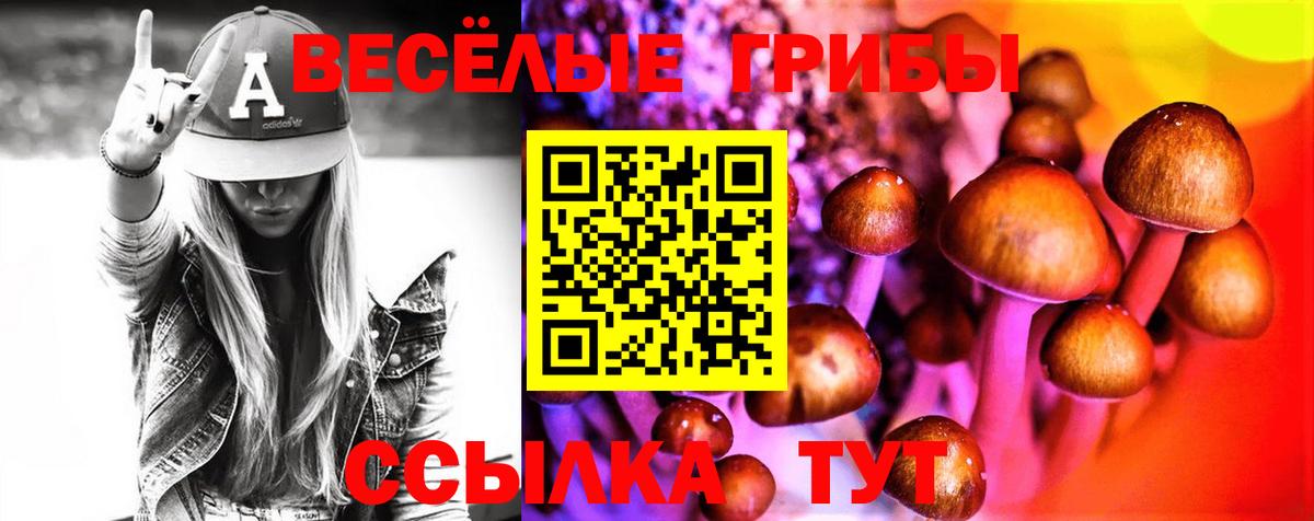 Кимовск  Псилоцибиновые грибы Cubensis  Вход с VPN 